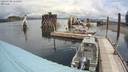 ./images/quadra/hbidock/20200708/hbidock20200708_115000M.jpg
