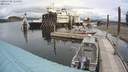 ./images/quadra/hbidock/20200708/hbidock20200708_124500M.jpg