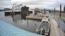 ./images/quadra/hbidock/20200708/hbidock20200708_163500M.jpg