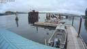 ./images/quadra/hbidock/20200709/hbidock20200709_060000M.jpg