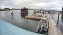 ./images/quadra/hbidock/20200710/hbidock20200710_092500M.jpg