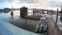 ./images/quadra/hbidock/20200712/hbidock20200712_064500M.jpg