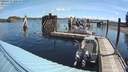 ./images/quadra/hbidock/20200713/hbidock20200713_100500M.jpg