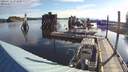 ./images/quadra/hbidock/20200715/hbidock20200715_073000M.jpg