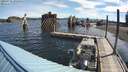 ./images/quadra/hbidock/20200715/hbidock20200715_092500M.jpg