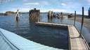 ./images/quadra/hbidock/20200715/hbidock20200715_101000M.jpg