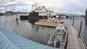 ./images/quadra/hbidock/20200716/hbidock20200716_170500M.jpg