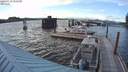 ./images/quadra/hbidock/20200718/hbidock20200718_200500M.jpg