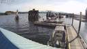 ./images/quadra/hbidock/20200719/hbidock20200719_075000M.jpg