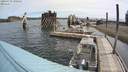 ./images/quadra/hbidock/20200719/hbidock20200719_100500M.jpg