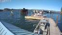 ./images/quadra/hbidock/20200719/hbidock20200719_172500M.jpg