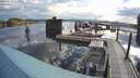 ./images/quadra/hbidock/20200721/hbidock20200721_072000M.jpg