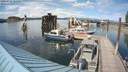 ./images/quadra/hbidock/20200721/hbidock20200721_162500M.jpg