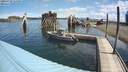 ./images/quadra/hbidock/20200722/hbidock20200722_114500M.jpg