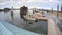 ./images/quadra/hbidock/20200722/hbidock20200722_160500M.jpg