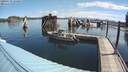 ./images/quadra/hbidock/20200723/hbidock20200723_102500M.jpg