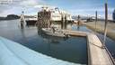 ./images/quadra/hbidock/20200723/hbidock20200723_132000M.jpg