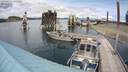 ./images/quadra/hbidock/20200723/hbidock20200723_145000M.jpg