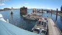 ./images/quadra/hbidock/20200724/hbidock20200724_115000M.jpg
