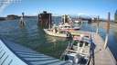 ./images/quadra/hbidock/20200724/hbidock20200724_173500M.jpg