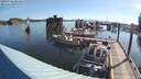 ./images/quadra/hbidock/20200726/hbidock20200726_081000M.jpg