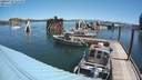 ./images/quadra/hbidock/20200726/hbidock20200726_114500M.jpg
