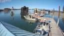 ./images/quadra/hbidock/20200726/hbidock20200726_163500M.jpg
