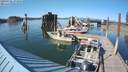 ./images/quadra/hbidock/20200726/hbidock20200726_173500M.jpg