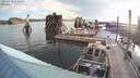 ./images/quadra/hbidock/20200728/hbidock20200728_072500M.jpg