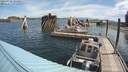 ./images/quadra/hbidock/20200728/hbidock20200728_103000M.jpg