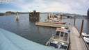 ./images/quadra/hbidock/20200728/hbidock20200728_134500M.jpg