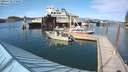 ./images/quadra/hbidock/20200728/hbidock20200728_170000M.jpg