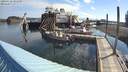 ./images/quadra/hbidock/20200729/hbidock20200729_084000M.jpg