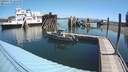 ./images/quadra/hbidock/20200729/hbidock20200729_104500M.jpg