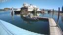 ./images/quadra/hbidock/20200729/hbidock20200729_110500M.jpg