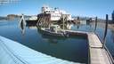 ./images/quadra/hbidock/20200729/hbidock20200729_111500M.jpg