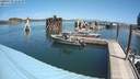 ./images/quadra/hbidock/20200729/hbidock20200729_122500M.jpg