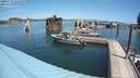 ./images/quadra/hbidock/20200729/hbidock20200729_123500M.jpg