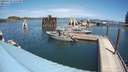 ./images/quadra/hbidock/20200729/hbidock20200729_135000M.jpg