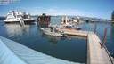 ./images/quadra/hbidock/20200729/hbidock20200729_151500M.jpg