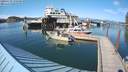 ./images/quadra/hbidock/20200729/hbidock20200729_170500M.jpg