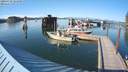 ./images/quadra/hbidock/20200729/hbidock20200729_181000M.jpg