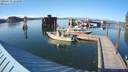 ./images/quadra/hbidock/20200729/hbidock20200729_182000M.jpg