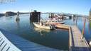 ./images/quadra/hbidock/20200729/hbidock20200729_185000M.jpg