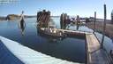 ./images/quadra/hbidock/20200730/hbidock20200730_082000M.jpg