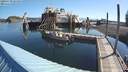 ./images/quadra/hbidock/20200730/hbidock20200730_084501M.jpg