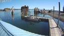 ./images/quadra/hbidock/20200730/hbidock20200730_094001M.jpg