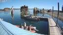 ./images/quadra/hbidock/20200730/hbidock20200730_102000M.jpg