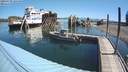 ./images/quadra/hbidock/20200730/hbidock20200730_105500M.jpg