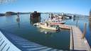 ./images/quadra/hbidock/20200730/hbidock20200730_175500M.jpg
